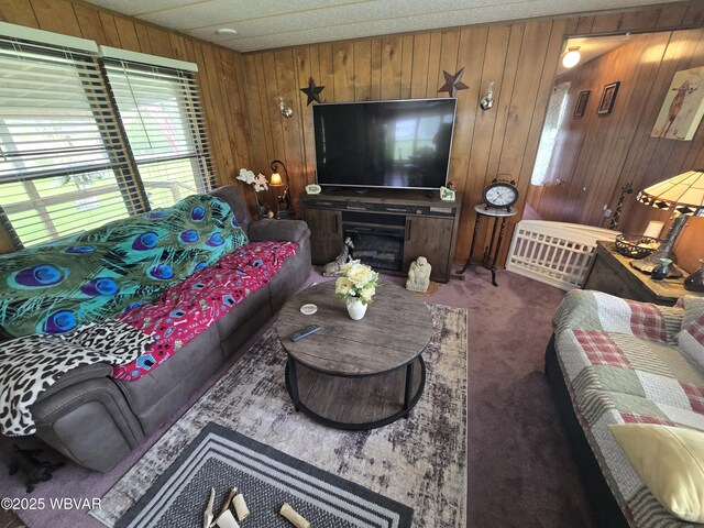 446 State St, Jersey Shore, PA 17740 - carpeted living room with wood walls