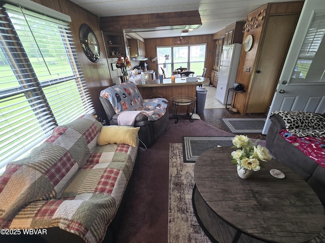 446 State St, Jersey Shore, PA 17740 - living area with wooden walls and dark colored carpet
