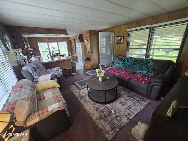 446 State St, Jersey Shore, PA 17740 - carpeted living room with wood walls