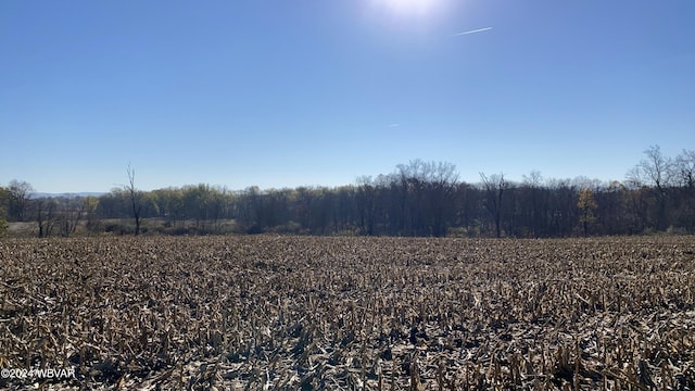 Pond Rd, Pennsdale, PA 17756