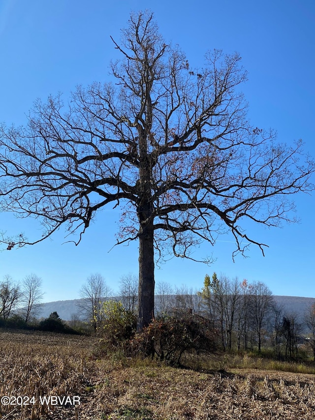 Pond Rd, Pennsdale, PA 17756