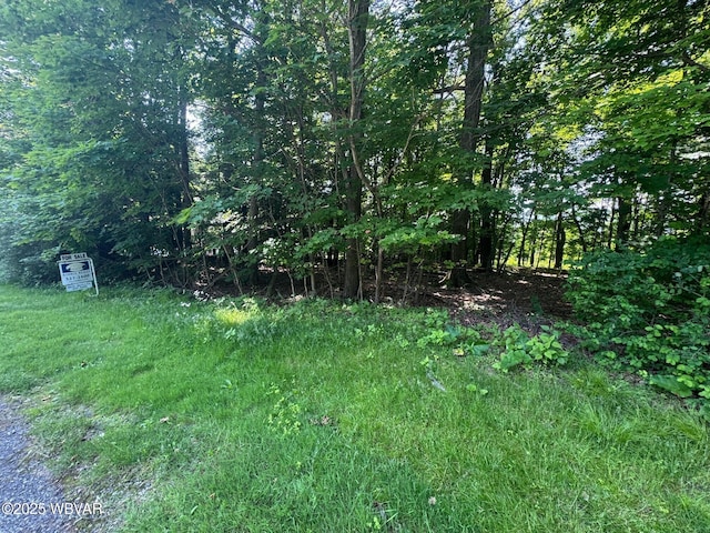 00 Rakestraw Rd, Montoursville, PA 17754 - photo 4