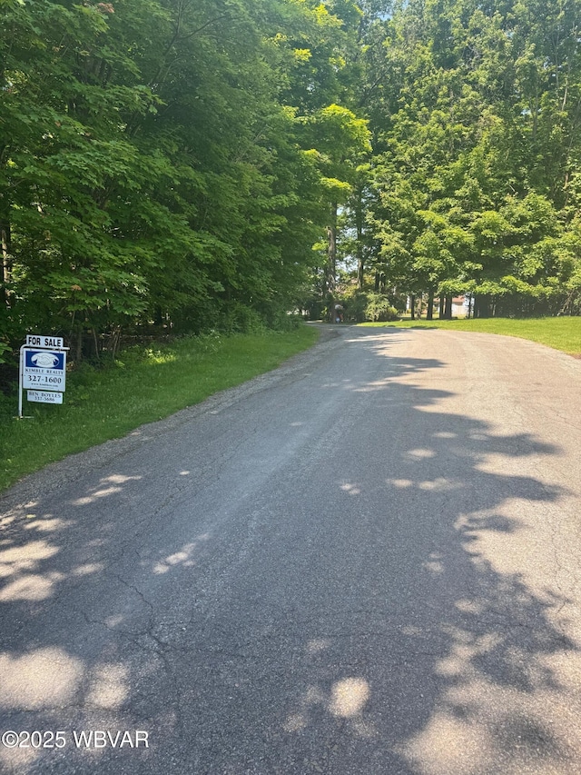 00 Rakestraw Rd, Montoursville, PA 17754 - photo 3