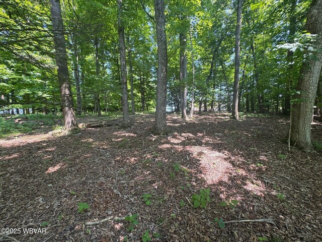 00 Rakestraw Rd, Montoursville, PA 17754 - photo 5