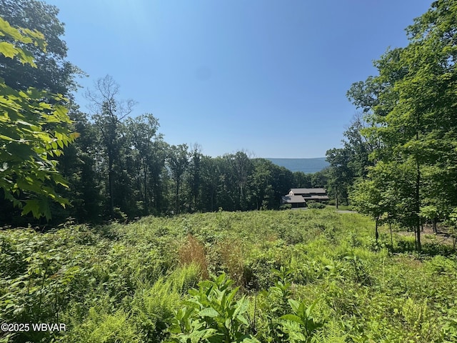 00 Rakestraw Rd, Montoursville, PA 17754 - photo 1
