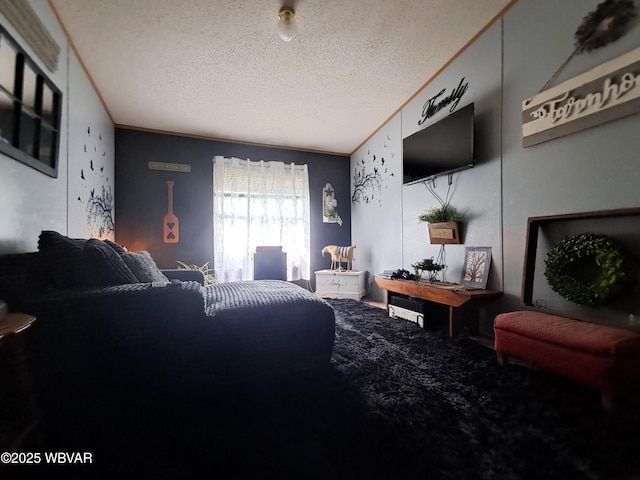 442 Mcelhattan Dr, Lock Haven, PA 17745 - carpeted living room featuring a textured ceiling