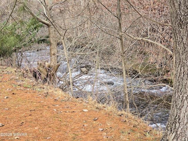 view of nature featuring a water view