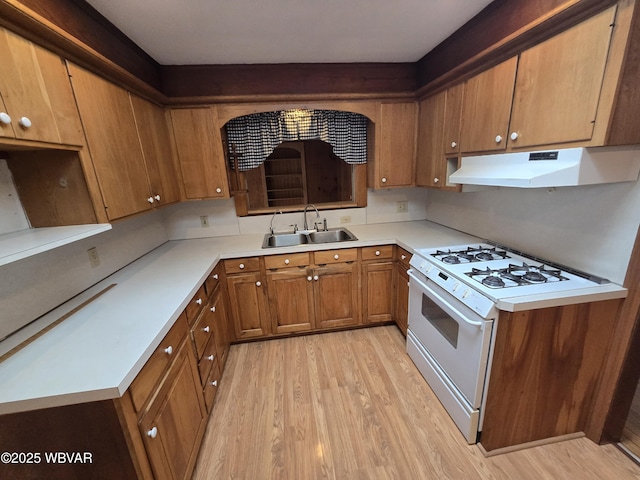 kitchen with white stove, light hardwood / wood-style flooring, and sink