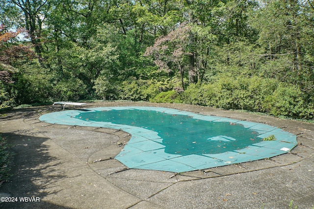 view of pool featuring a diving board and a patio