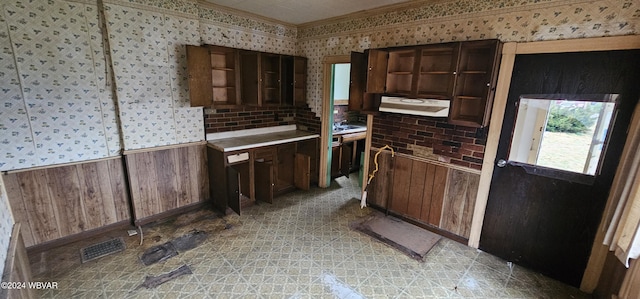 kitchen with dark brown cabinetry