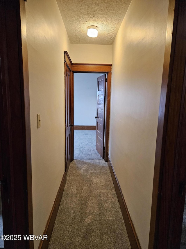 corridor featuring carpet floors and a textured ceiling