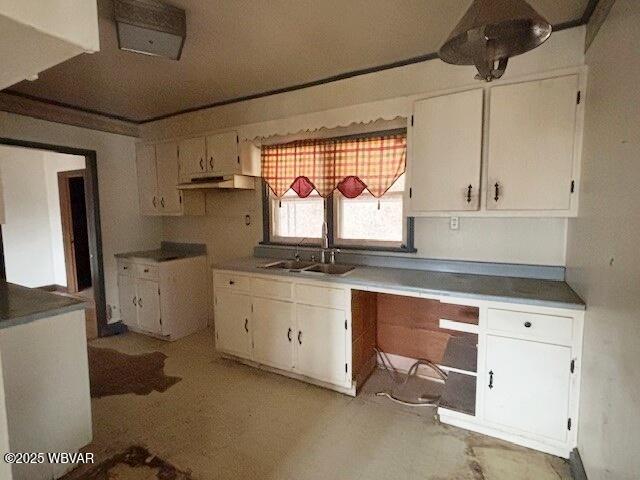 kitchen with a sink and white cabinets