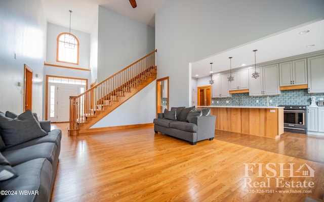 living room featuring a towering ceiling and light hardwood / wood-style flooring