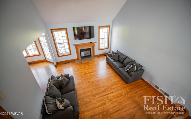 living room featuring light wood-type flooring and vaulted ceiling