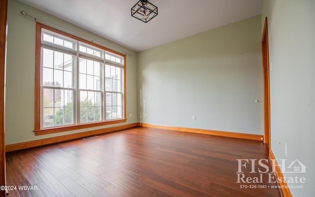 empty room featuring a healthy amount of sunlight and dark hardwood / wood-style floors