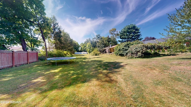 view of yard featuring a trampoline