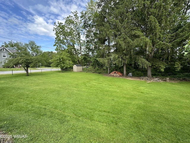325 Washington Ave, Jersey Shore, PA 17740 - view of yard