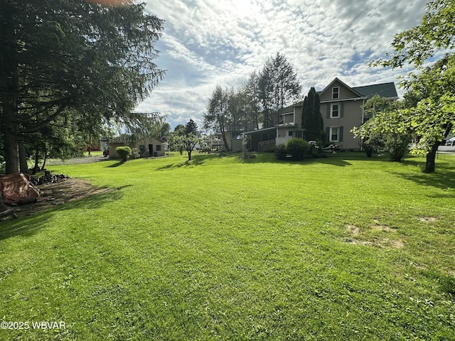 325 Washington Ave, Jersey Shore, PA 17740 - view of green lawn