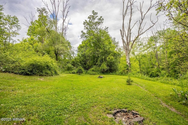 152 Carpenter St, Dushore, PA 18614 - view of green lawn