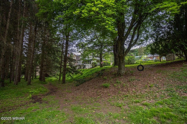 152 Carpenter St, Dushore, PA 18614 - view of yard