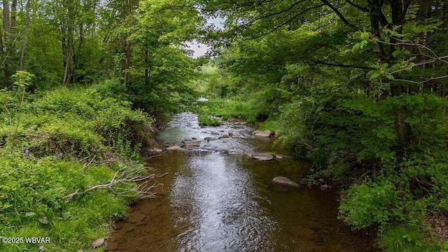 152 Carpenter St, Dushore, PA 18614 - water view featuring a forest