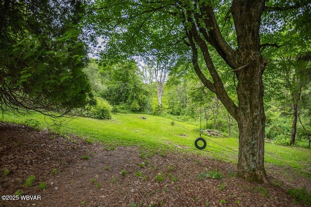 152 Carpenter St, Dushore, PA 18614 - view of grassy yard