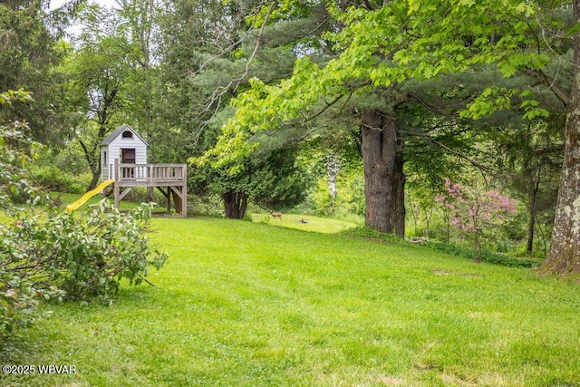 152 Carpenter St, Dushore, PA 18614 - view of green lawn