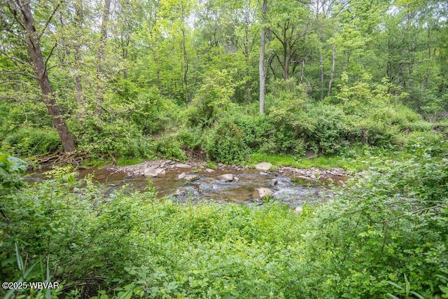 152 Carpenter St, Dushore, PA 18614 - view of wooded area