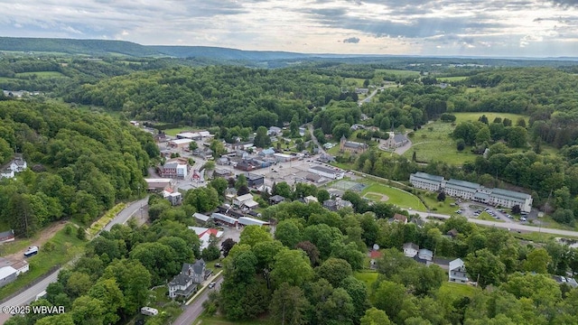 152 Carpenter St, Dushore, PA 18614 - aerial view of property and surrounding area with a heavily wooded area