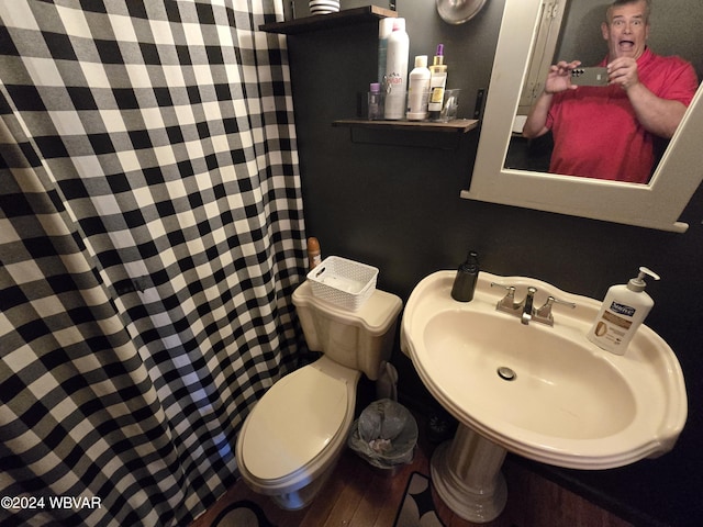 bathroom featuring hardwood / wood-style floors, toilet, and sink