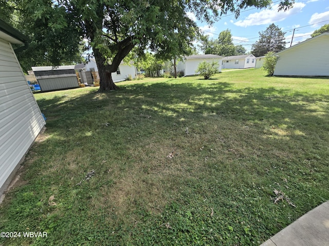 view of yard with a storage shed