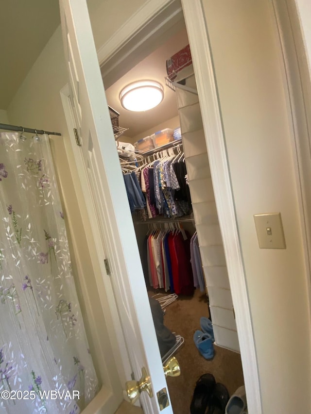 29 S Parsons Dr, Mill Hall, PA 17751 - view of closet