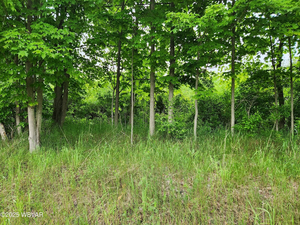 PARCEL195 Burlington Tpke, Burlington, PA 18848