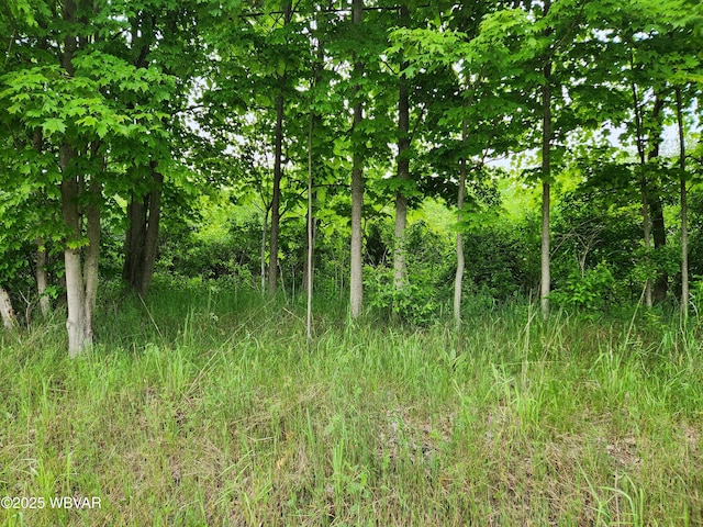 PARCEL195 Burlington Tpke, Burlington, PA 18848