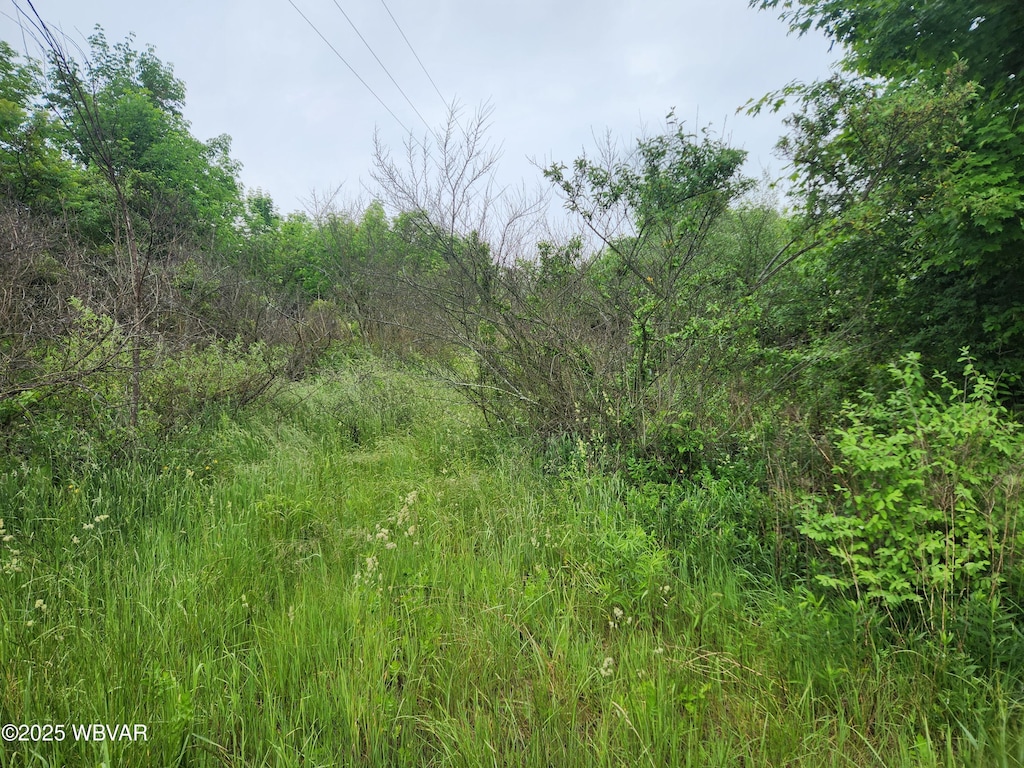 PARCEL195 Burlington Tpke, Burlington, PA 18848