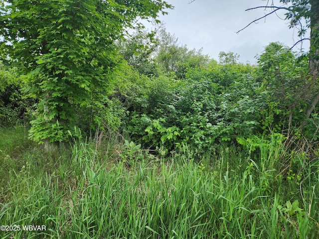 PARCEL195 Burlington Tpke, Burlington, PA 18848