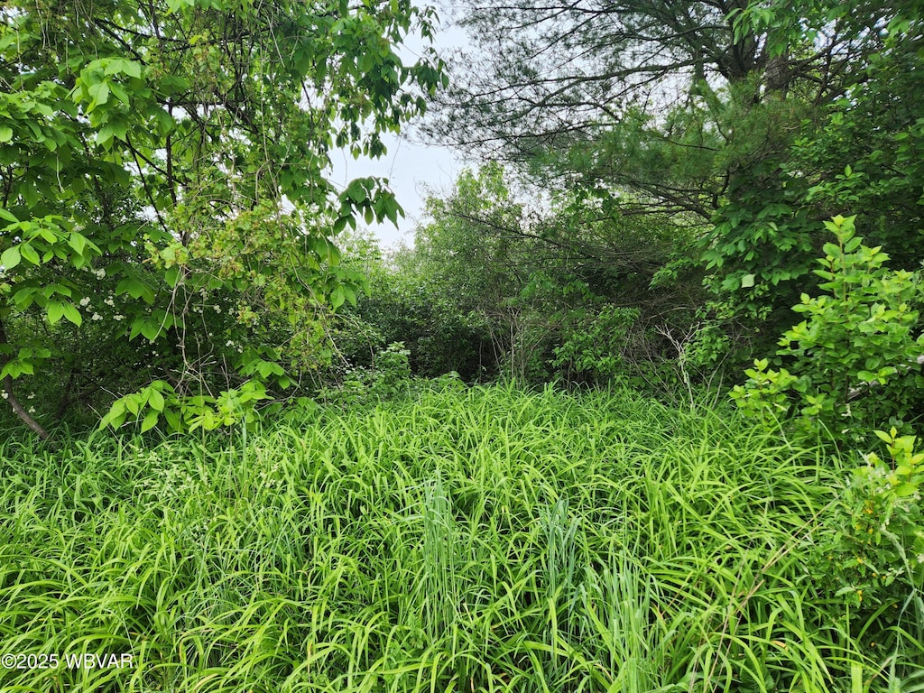 PARCEL195 Burlington Tpke, Burlington, PA 18848