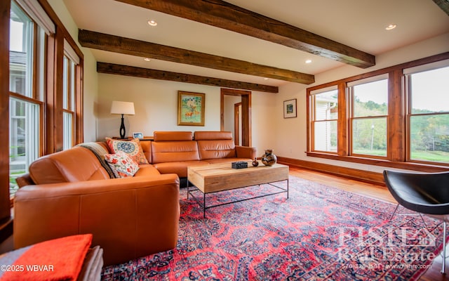 living room featuring beam ceiling and hardwood / wood-style flooring