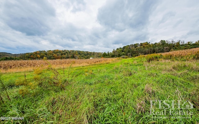 view of local wilderness with a rural view