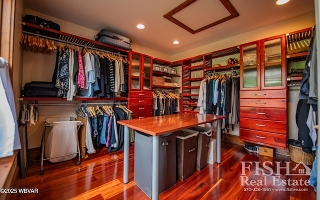 walk in closet with dark wood-type flooring