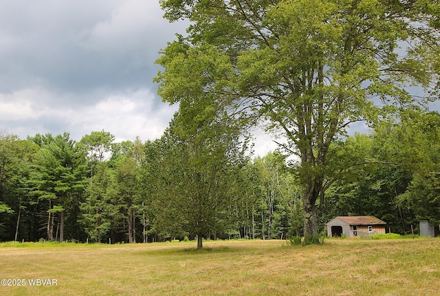 11315 Rose Valley Rd, Trout Run, PA 17771 - photo 17