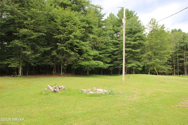 11315 Rose Valley Rd, Trout Run, PA 17771 - photo 19