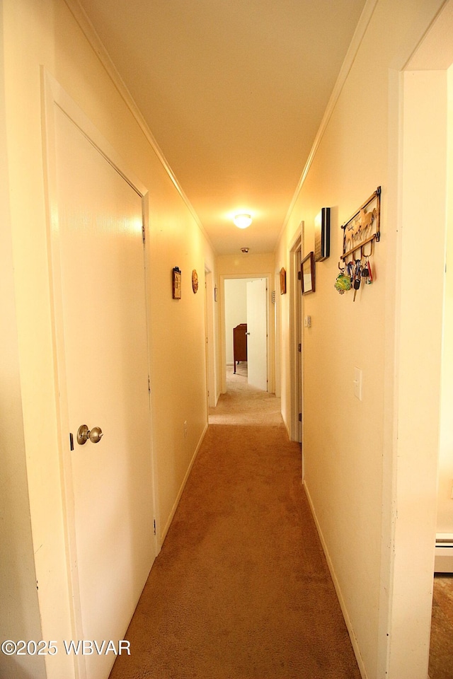 11315 Rose Valley Rd, Trout Run, PA 17771 - photo 8