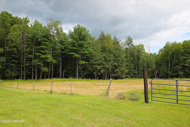 11315 Rose Valley Rd, Trout Run, PA 17771 - photo 15