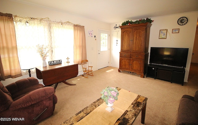 11315 Rose Valley Rd, Trout Run, PA 17771 - photo 7