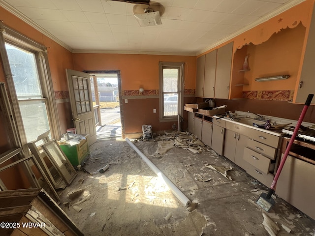 kitchen with ornamental molding