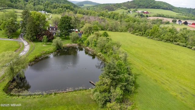 320 Carpenters Ln, Pennsdale, PA 17756 - drone / aerial view of a large body of water