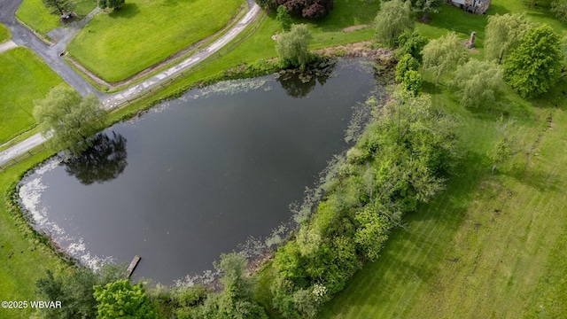320 Carpenters Ln, Pennsdale, PA 17756 - bird's eye view of a nearby body of water