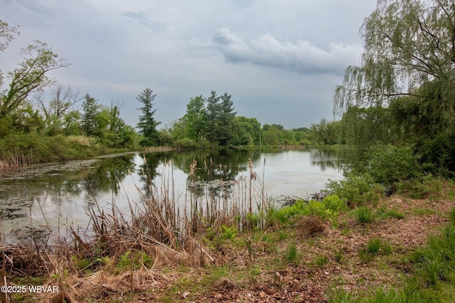 320 Carpenters Ln, Pennsdale, PA 17756 - water view with a heavily wooded area