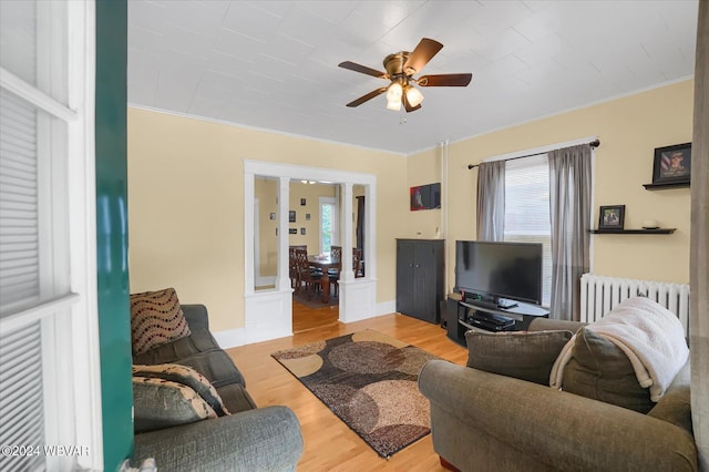 living room with ceiling fan, a healthy amount of sunlight, light wood-type flooring, and radiator heating unit